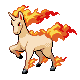 Rapidash Rapidash