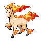 Rapidash Rapidash