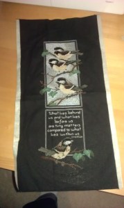 Four cute little Chickadees.