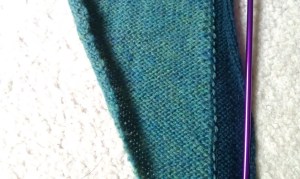 Early progress of the "wrong" side showing the edge and the main stitches twined together