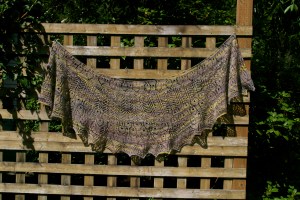 Normally I post inside, but today was just too nice of a day to not get my bird in the sun!