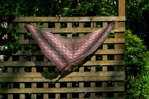 Perfect for a gentle breeze like the one today!