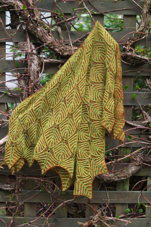 Just like my climbing Hydrangea... its wearing the colors of both Spring and Fall leaves.