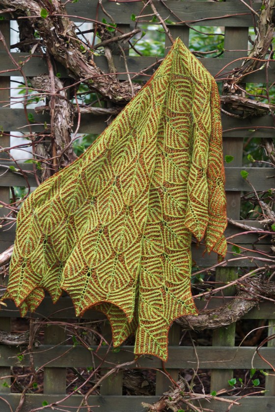 Just like my climbing Hydrangea... its wearing the colors of both Spring and Fall leaves.