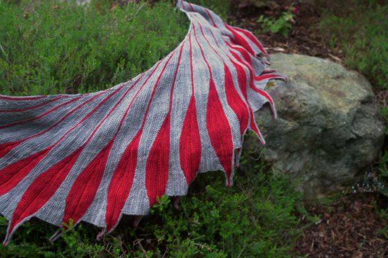 My "bird" perched on the heather and rockwork in my front yard.