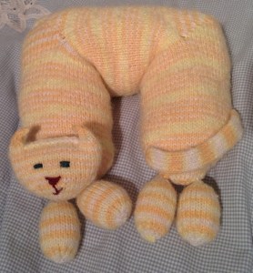 This kitty loves to travel.